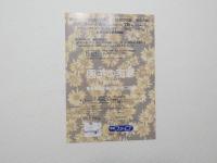 100321■チラシ■秘密の花園 春の力篇 劇団こたつ猫一座 88夏公演