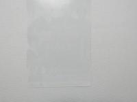 100459■チラシ■女座長の詩 雪之丞変化 京唄子 特別公演 東千代之助 大阪　道頓堀 中座