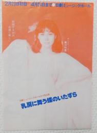 100517■チラシ■乳房に舞う蝶のいたずら 美川利恵　 浅茅けいこ 水原まゆみ 大山節子 ジャンボ久世 明日香ミチ 高まりさ 野々村美樹 蘭千子　日劇ミュージックホール　