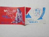 100569■チラシ■真夏の夜の淑女たち　松永てるほ 　高見緋紗子 アンジェラ浅丘 星ひとみ　日劇ミュージックホール　