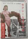 100580■チラシ■セクシーな厚中休暇　島淳子　日劇ミュージックホール　