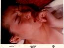 A■100654■映画 スチール写真■ザ・バイブ
