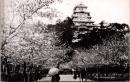 1002324■戦前 絵葉書■姫路　姫路城　城山公園入口　