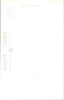 1002336■戦前 絵葉書■越後　清津瀞 (吊り橋)