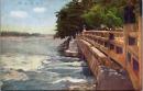 1002337■戦前 絵葉書■宇治観流橋