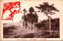 1002357■戦前 絵葉書■箱根名所　旧関所趾　大正・明治期 箱根印