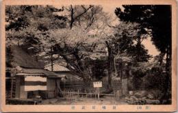 1002358■戦前 絵葉書■讃岐　屋嶋可正桜