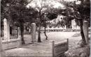 1002391■戦前 絵葉書■桜井訣児所の全景