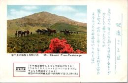 1002405■戦前 絵葉書■肥後ことば　草千里の放牧と鳥帽子岳