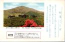 1002405■戦前 絵葉書■肥後ことば　草千里の放牧と鳥帽子岳