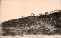 1002424■戦前 絵葉書■難路通過　騎兵第二十聯隊