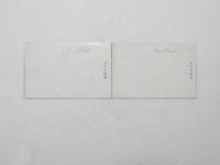2000165●戦前　絵葉書●パノラマ 富士山 頂上台噴火の大観　2連 2枚