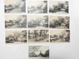 2000179●戦前　絵葉書●金沢兼六園 10枚　1枚エンタイア