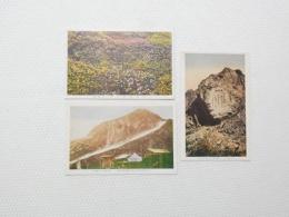 2000187●戦前　絵葉書●立山室堂及高山気象観測所+立山五色ヶ原+立山三の越東宮御歌碑 3枚