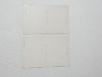 2000213●戦前　絵葉書●御大禮記念　竹内栖鳳 2枚