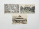 2000226●戦前　絵葉書●善光寺 　御本堂 庭園 山門 3枚