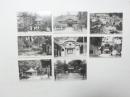 2000236●戦前　絵葉書●近江日野町 　正明禅寺 勅建正明禅寺 正明禅寺 法輪山正明禅寺 8枚