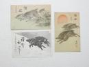 2000237●戦前　絵葉書●賀正 猪 いのしし　元旦 3枚