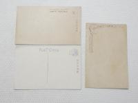 2000237●戦前　絵葉書●賀正 猪 いのしし　元旦 3枚