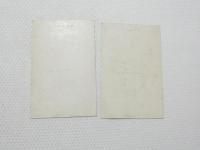2000250●戦前　絵葉書●花鳥文臈織羅 花卉文刺繍幡頭 2枚