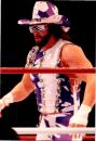 10256◆生写真◆プロレス  スティーブ・ウィリアムス　11.5cm×8.2cm