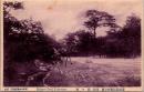 1002631■戦前 絵葉書■讃岐高松栗林公園 南庭 扇ヶ原