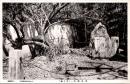 1002653■戦前 絵葉書■乃木邸内（井と梅）