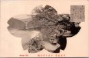1002679■戦前 絵葉書■宇治風景　宇治川堤の桜