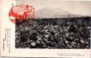 1002735■戦前 絵葉書■碧空の彼方に 陽のまつ白に降りそいで、熔岩の躍る此方、熔岩の此方に佇んで、碧空の彼方に仰ぎ見るは櫻島の雄姿。 桜島を訪ねて