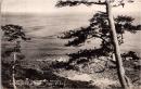 1002745■戦前 絵葉書■日本八景・室戸岬（大自然の鳥瞰、室戸岬東海岸の風光）