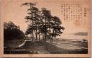 1002834■戦前 絵葉書■宮津鶏塚