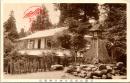 1002841■戦前 絵葉書■金剛山頂葛木神社神明燈