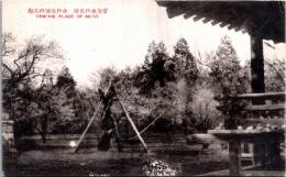 1002877■戦前 絵葉書■常陸水戸名所 水戸公園の古梅