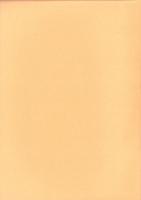 庄内式土器研究Ⅰ　-庄内式併行期の土器生産とその移動-