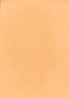 庄内式土器研究Ⅱ　-庄内式併行期の土器生産とその移動-