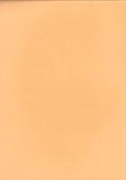 庄内式土器研究Ⅲ　-庄内式併行期の土器生産とその移動-