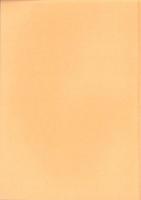 庄内式土器研究19　-庄内式併行期の土器生産とその動き-