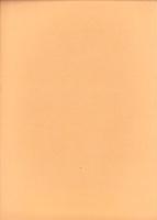 庄内式土器研究20　-庄内式併行期の土器生産とその移動「庄内式併行期の土器交流拠点」-