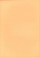 庄内式土器研究21　-庄内式併行期の土器交流拠点「摂津・播磨地域」-