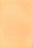 庄内式土器研究22　-庄内式併行期の土器生産とその動き「丹波・丹後・但馬を中心とした庄内式併行期の土器の移動」-