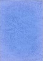 三坂神社墳墓群・三坂神社裏古墳群・有明古墳群・有明横穴群　-北部マスターズビレッジ整備事業関連遺蹟発掘調査報告書-（京都府中郡大宮町）