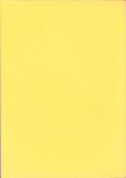 中期中葉から後葉の諸様相　-第11回縄文セミナー-