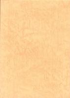 おおいた考古　第9・10集（大分県）