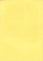 上村川下流域の考古学的調査　-上矢作町内遺跡発掘調査報告書-（岐阜県）