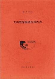 大山窯発掘調査報告書（愛知県小牧市）