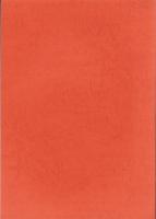 大山窯発掘調査報告書（愛知県小牧市）