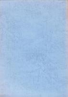 東日本における鉄器文化の受容と展開　発表要旨集　-第4回鉄器文化研究集会-