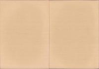 一色青海遺跡　全2冊一函入　-愛知県埋蔵文化財センター調査報告書 第79集-（愛知県）