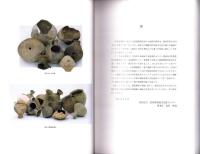 一色青海遺跡　全2冊一函入　-愛知県埋蔵文化財センター調査報告書 第79集-（愛知県）