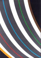 論集　環濠集落の諸問題 2015